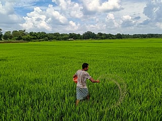 From UAE to Bangladesh: How AI is transforming farming