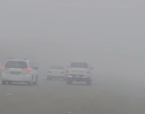 Fog alert in Abu Dhabi and Dubai, NCM urge caution amid low visibility