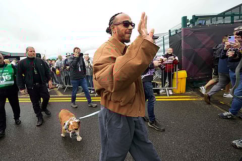 Hamilton thanks 'overwhelming' response to dog Roscoe's death