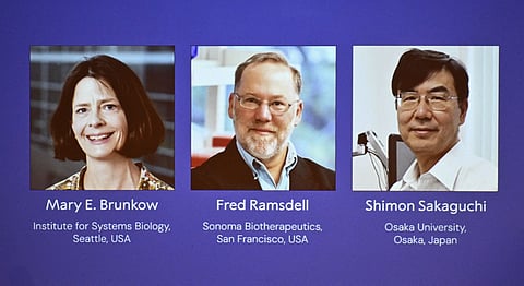 The portraits of Mary E Brunkow, Fred Ramsdell and Shimon Sakaguchi are displayed during a press conference where the winners of the 2025 Nobel Prize in Physiology or Medicine are being announced at the Karolinska Institute in Stockholm, Sweden, on October 6, 2025.