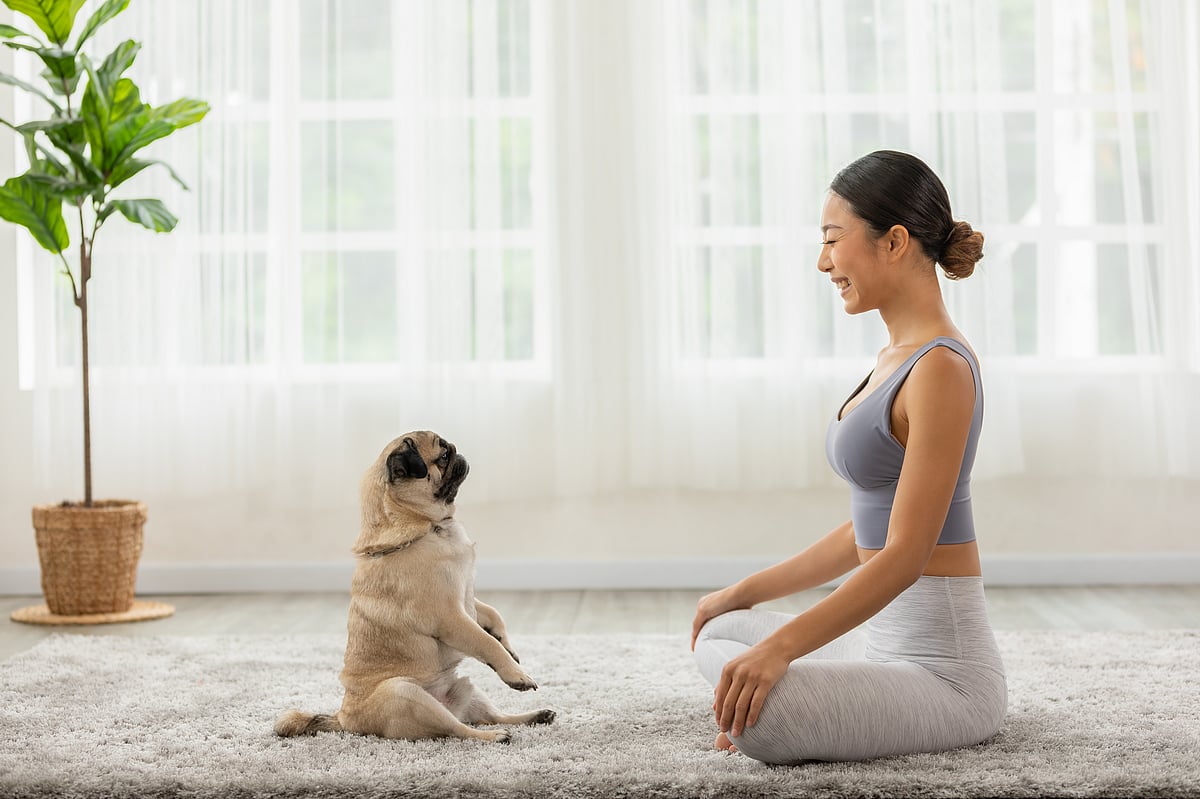 Pilates session where humans and their best friends get to stretch, play, and bond—gentle moves for you, playful fetch for your pup.