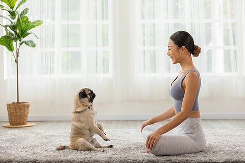 Pilates session where humans and their best friends get to stretch, play, and bond—gentle moves for you, playful fetch for your pup.