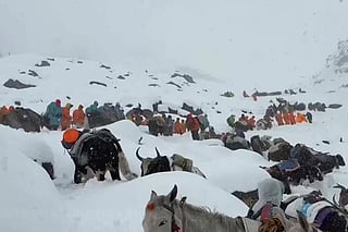 Mount Everest snowstorm triggers massive rescue effort