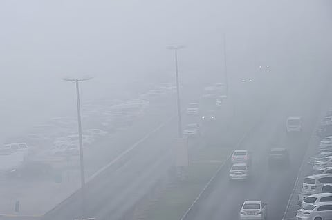 Dense fog in Abu Dhabi, NCM urge caution amid low visibility