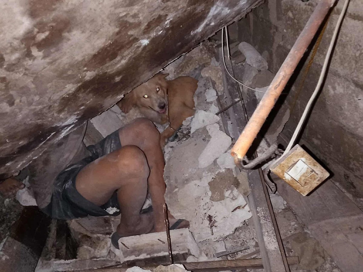 Facebook / Hope for Strays
