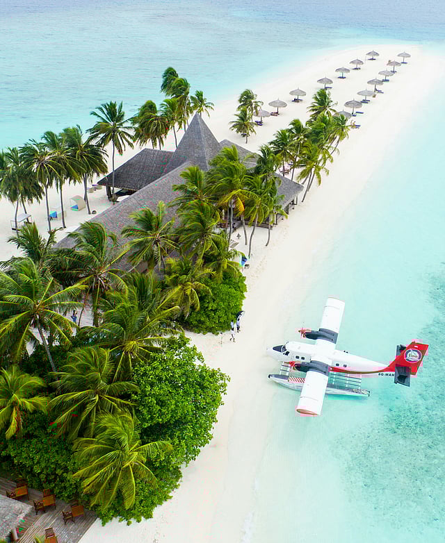 Embrace your wild side in Maldives