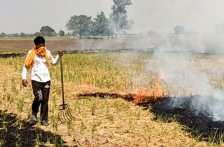 The flooding delayed harvest cycles, waterlogged fields, and reduced dry residue availability, making it physically impossible for many farmers to conduct residue burning.