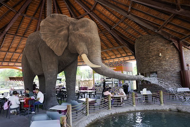 Visitors enjoying food at a restaurant at  Dubai Safari Park. 