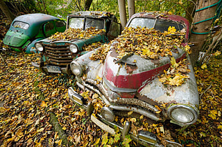 An FSO Warszawa from Poland stands among other vintage cars at a private sculpture park in Germany’s Neanderthal Valley — where nature reclaims nostalgia as moss and maple leaves embrace the rusting classics.