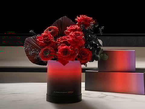 BloomingBox partners with Netflix to elevate your viewing experience with curated collections
