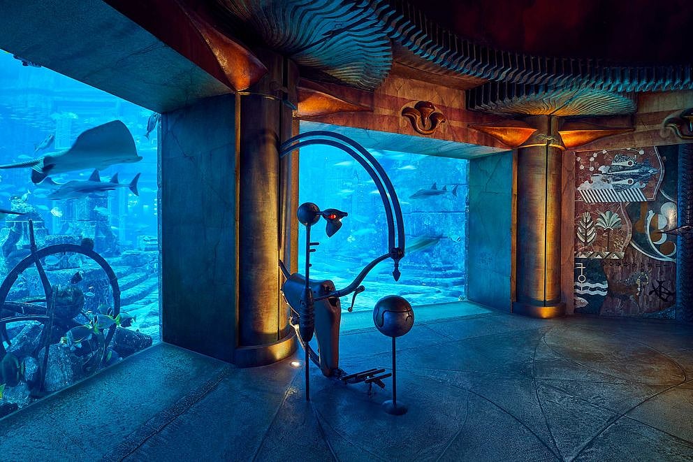 The new aquarium now houses 430 new marine animals across 35 newly introduced species.