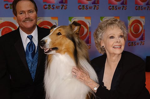 Lockhart's warm, compassionate portrayals of mothers endeared her to young viewers. 