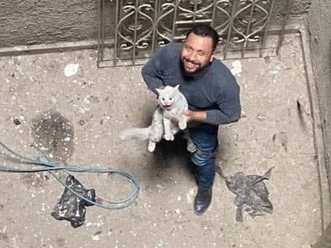 Heroic engineer rescues cat trapped for 45 days in building shaft