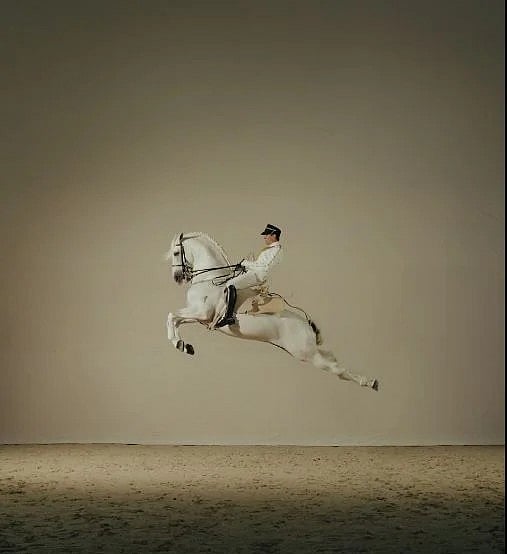 A look at the horsemanship on display at ADREA