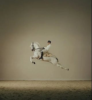 A look at the horsemanship on display at ADREA