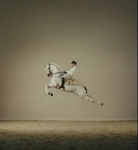 A look at the horsemanship on display at ADREA