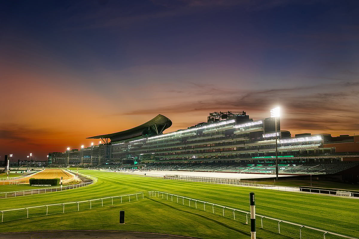 For those who love their race days with a touch of exclusivity, the new DRC Membership offers access to the premium lounge at all 16 Carnival meetings, complete with complimentary food and soft drinks.