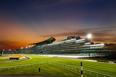 For those who love their race days with a touch of exclusivity, the new DRC Membership offers access to the premium lounge at all 16 Carnival meetings, complete with complimentary food and soft drinks.