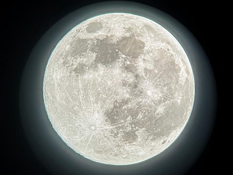 Beaver Supermoon captured from Dubai's Al Awir Park on Wednesday. 
