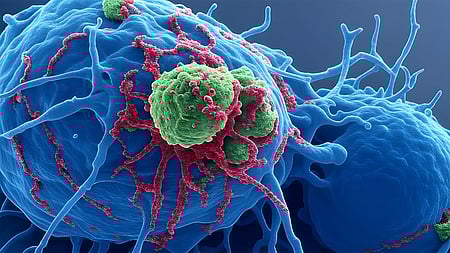 According to AFP, the European Sperm Bank was first alerted in April 2020 when a child conceived through this donor was diagnosed with cancer and found to carry a TP53 mutation. illustrative image.