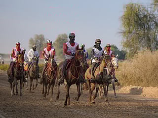 Seeh Al Salam Challenges gets DIEC season under way