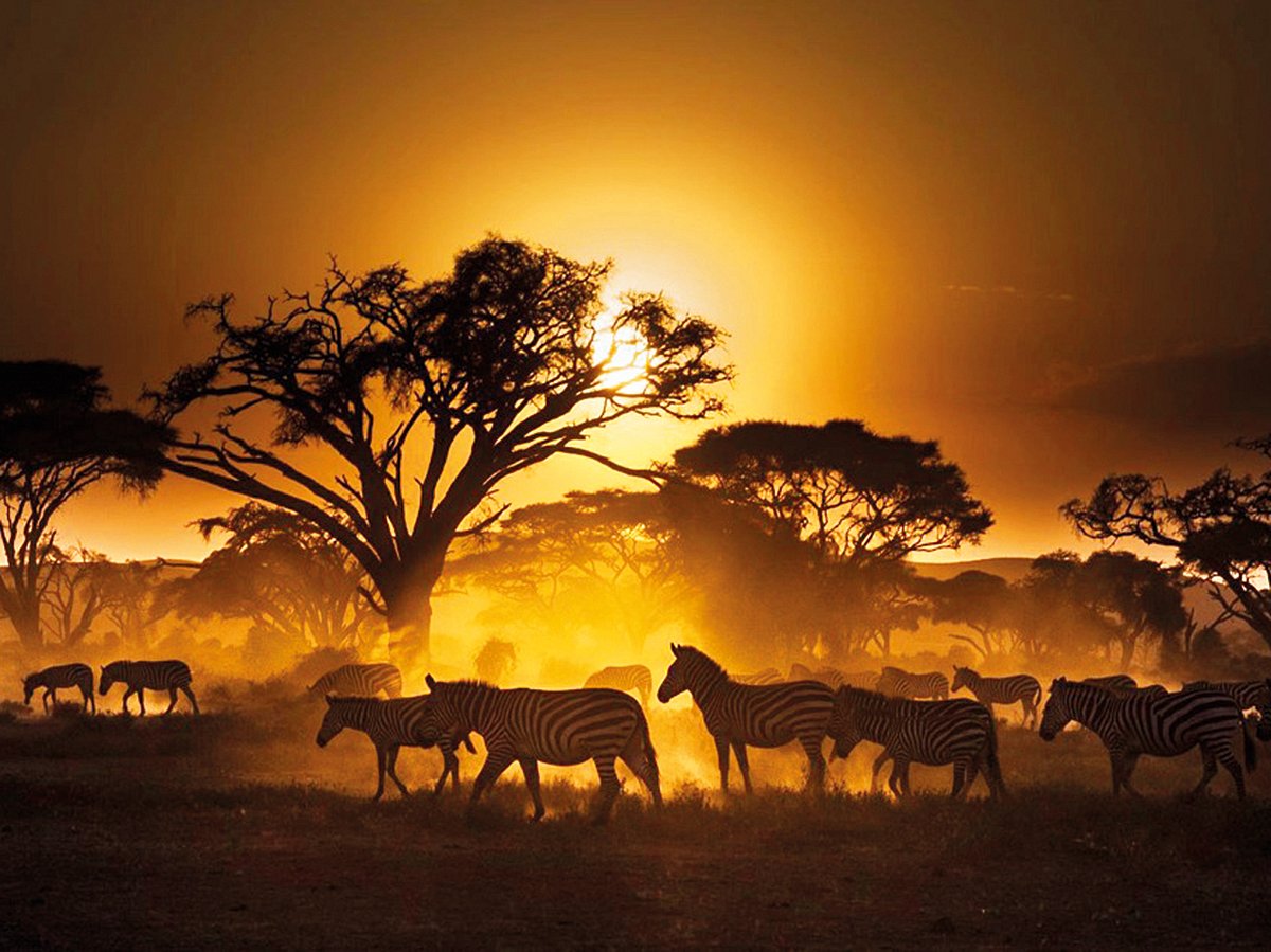 CITES applauds India’s Vantara for setting global standards in wildlife conservation