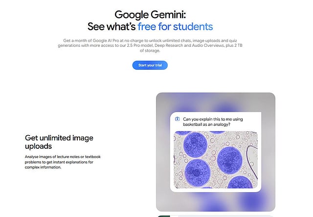 Free AI courses in UAE for students and adults to boost careers