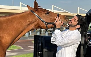 Sheikh Hamdan 