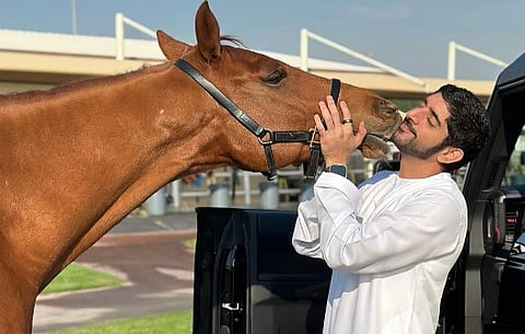 Sheikh Hamdan 