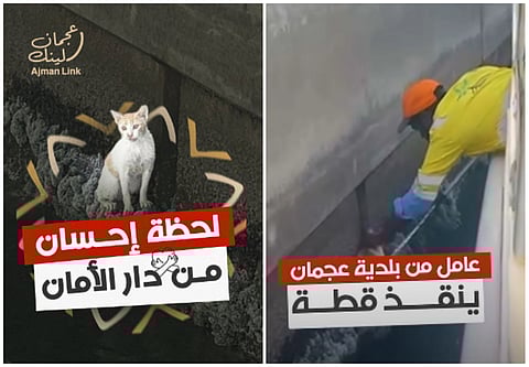  Heroic Ajman worker saves terrified cat from ledge