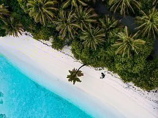 Christmas under a coconut tree? Sounds like a plan!