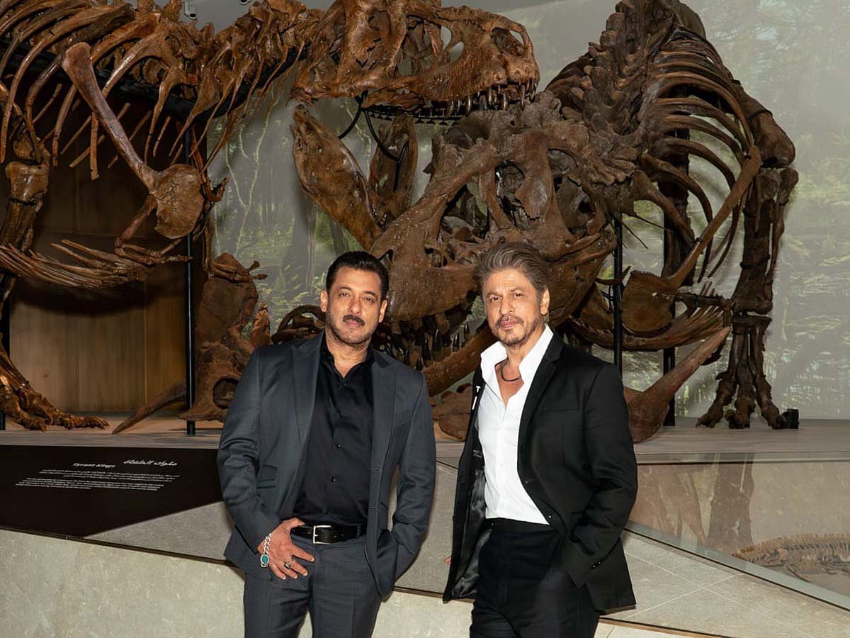 Salman Khan and Shah Rukh Khan attended the Natural History Museum, Abu Dhabi, during the VIP opening.