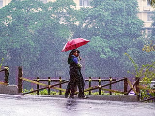 Heavy rain to persist in Kerala; IMD issues yellow alert for multiple districts