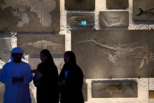 Visitors stand in front of a wall of fossils at the newly opened Natural History Museum in Saadiyat Cultural District, in Abu Dhabi on November 22, 2025.