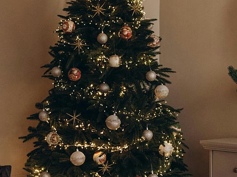 Have yourself a merry Christmas with a beautiful tree