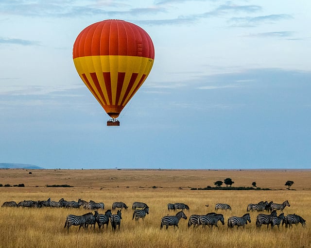 There are many ways in which to observe wildlife in Kenya