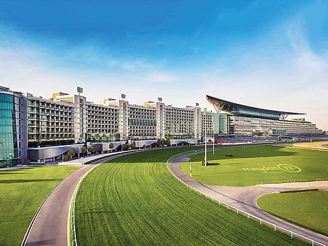 Meydan Free Zone: Empowering entrepreneurs from Dubai to the world