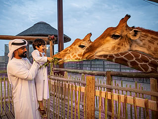 For fun, food and adventure, try these fun things to do this National Day