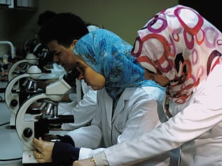 Ras Al Khaimah: Pursuit of academic excellence  