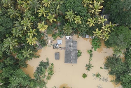 Cyclone Ditwah death toll crosses 350: Sri Lanka eases tourist visa ...