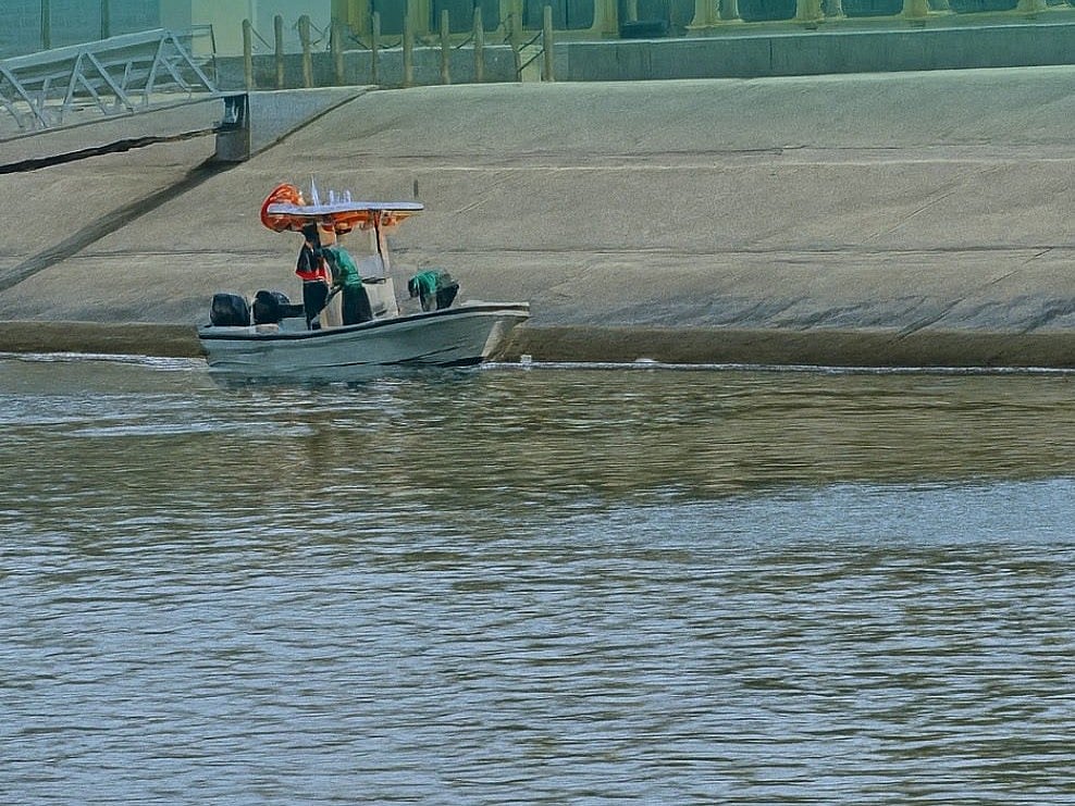 EAD reported that water and fish samples were collected promptly following the discovery of dead fish.