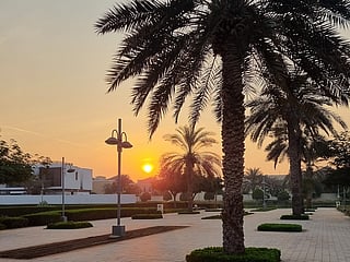 Driver killed in Dubai after debris hits vehicle