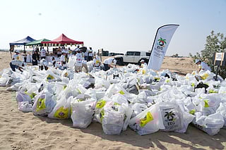 Clean UAE 2025 commences in Dubai with 8,500 volunteers