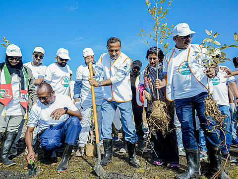 UAE National Day: Aster plants 2,000 mangrove saplings to boost coastal restoration in Ras Al Khaimah