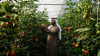 Abu Dhabi is building an integrated ecosystem to support agriculture, fisheries, and livestock.