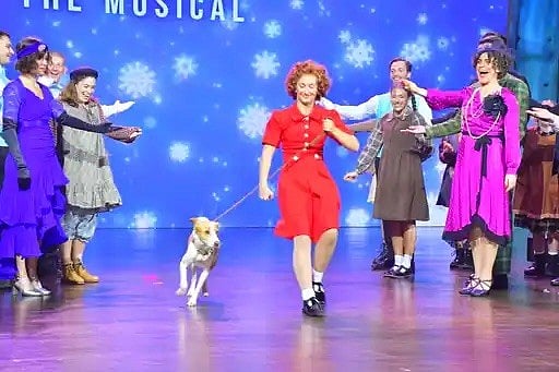 Brody, a gentle desert mix who once relied on passing visitors for food, played Sandy in the production showcased at Dubai's Zabeel Theatre.