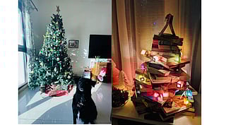 Scenes from Christmas. Left: Dilukshi Thomas's tree, and right: Purva Grover prepares her 'tree' of books. 