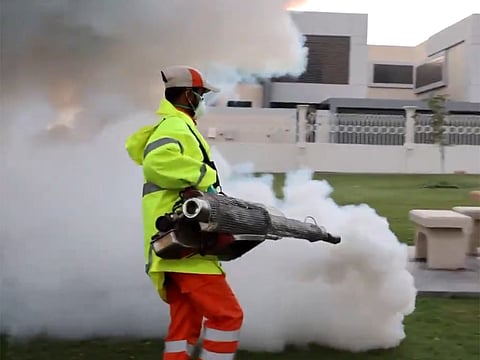 Municipality teams have been deployed in several areas of Sharjah, focusing on locations where rainwater has accumulated, including ponds and low-lying sites prone to water pooling. 