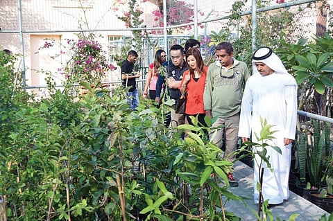 Citizen owned farms emerge as leading investment projects and sustainable tourism destinations
