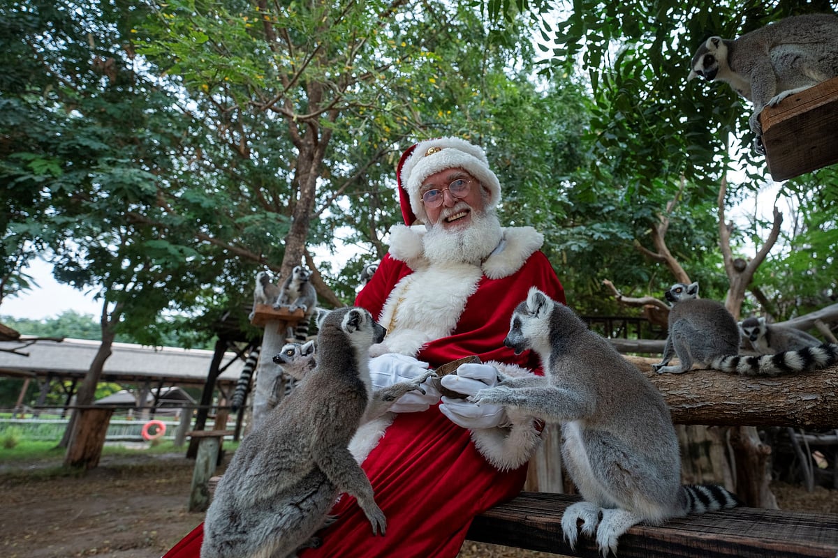 Dubai Safari Park announces first-ever Festive Village experience